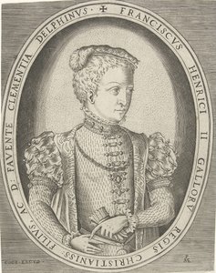 Fransis II:n muotokuva Ranskasta 1544-1560 tekijältä Pieter Heyden van der
