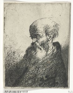 Papin rintakuva