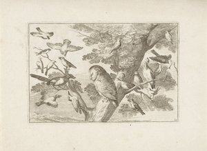 Uil en andere vogels in boom Erilaisia ​​lintuja (sarjan nimi) Eri lintujen täydellisimmät hahmot (...) (sarjan nimi) tekijältä Pieter Schenk (I) (attributed to)