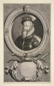 Comte de Leicester finlandès