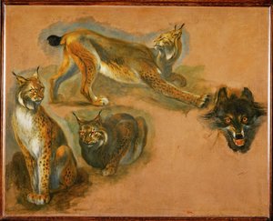 Ilves, suden pää (maalaus kankaalle) tekijältä Pieter or Peter Boel