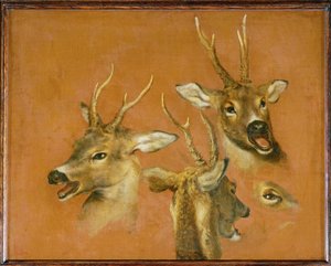 Metsäkauriin pään tutkiminen (maalaus kankaalle) tekijältä Pieter or Peter Boel