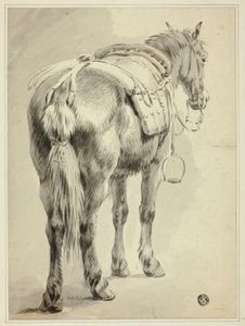 Satulahevonen tekijältä Pieter van Bloemen