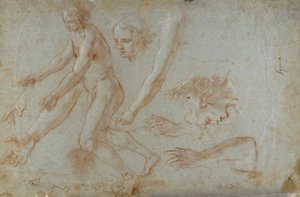 Piirustus tekijältä Pietro Aquila