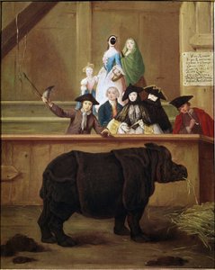 Sarvikuono: näyttely Clara, Intian sarvikuono. Pietro Longhin (1702-1785) maalaus. 1751. 1700-luvun venetsialainen museo. Ca 