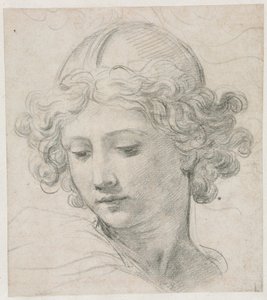 Tutkimus Pyhän Mikaelin päämiehelle tekijältä Pietro da Cortona