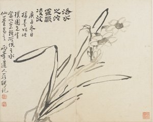 Maisemat, kukat ja linnut: Narcissus, Qing-dynastia tekijältä Luo Ping