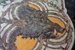Villisikaa kuvaava lattia (mosaiikki) tekijältä Portuguese School