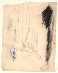 Puunrungot
