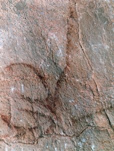  tekijältä Prehistoric Prehistoric