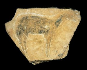 Musta hirvi, Parpallon luola, Espanja, Yläpaleoliitti (maalaus) tekijältä Prehistoric Prehistoric