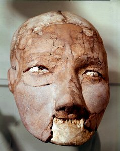 Neoliittinen taide: ihmisen kallo kivikaudelta (6000-4000 eKr.). Jerikosta, arkeologinen museo, Amman, Jordania tekijältä Prehistoric Prehistoric