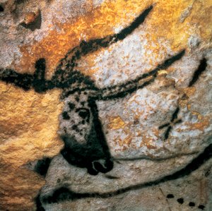 Parietaalimaalaus, joka kuvaa aurochia (sukpuuttoon kuollut bovid), Bulls Room, Lascaux
