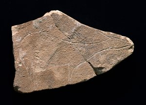 Peuraa edustava petroglyfi, Parpallon luola, Espanja. Yläpaleoliitti, Solutreen (kaiverrus) tekijältä Prehistoric Prehistoric