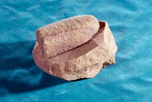 Esihistoria: hiomakivi suolan jauhamiseen. Saint Germain en Laye, kansallisen arkeologian museo tekijältä Prehistoric Prehistoric