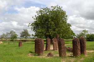 Esihistoria: Megaliittinen kiviympyrä Wassusta, Gambiasta (kuva) tekijältä Prehistoric Prehistoric