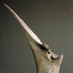 Esihistoria, Poladan kulttuuri: Luiden kärki Polada Tourbieresta, Lonatosta. Pronssikausi. Rooma, Luigi Pigorinin kansallinen esihistoriallisen etnografian museo tekijältä Prehistoric Prehistoric