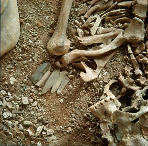 Esihistoria: aikuisten ja lasten kaksoishautaus. Yksityiskohtainen näkymä hautajaisten Candid Arene -luolasta (Finale Liguria), Liguria. Mesoliitti, 7000-6000 eaa. Geenit, museo di archeologia ligure tekijältä Prehistoric Prehistoric