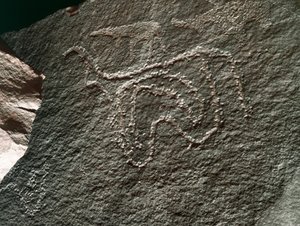 Esihistoria, kalliotaide: vakava kallio karjan esityksestä. Tazina tyyli. Kivikausi 5000-2000 eaa. Taghit, Haut plateau du Hoggar (Ahaggar), Algeria tekijältä Prehistoric Prehistoric