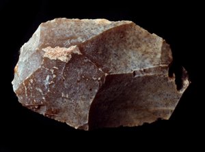 Esihistoria: leikattu kivikaavin päälle. Yläpaleoliitti, Magdalena. Verone, luonnonhistoriallinen museo, Italia tekijältä Prehistoric Prehistoric