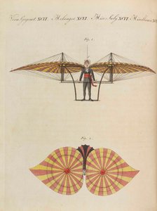 Lasten kuvakirja Friedrich Johann Justin Bertuchin lasten tietosanakirja, 1798-1830.