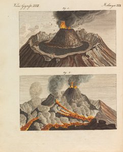 Lasten kuvakirja Friedrich Johann Justin Bertuchin lasten tietosanakirja, 1798-1830.