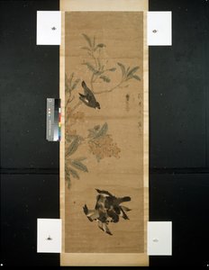 Linnut ja oksat tekijältä Qing Dynasty Chinese School