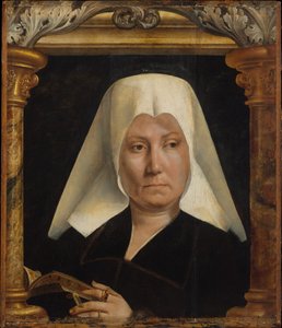 Naisen muotokuva, noin 1520 (öljy paneelille)