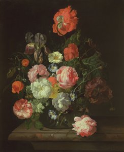 Kukka lasimaljakossa tekijältä Rachel Ruysch
