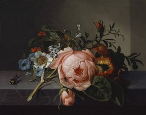 Asetelma ruusunoksan, kovakuoriaisen ja mehiläisen kanssa, 1741 (öljy kankaalle asennettuna tammelle)