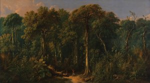 Javanese Jungle, n. 1860.