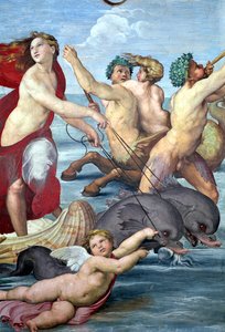 Galatea, yksityiskohta mermeneistä ja delfiineistä, 1506 fresko yksityiskohta 56473:sta 56473 tekijältä Raffaello Sanzio Raphael