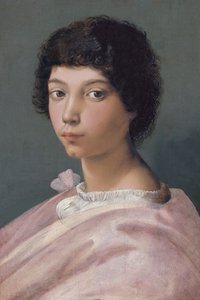 Nuoren miehen muotokuva tekijältä Raffaello Sanzio Raphael