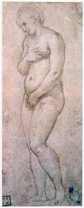Venuksen tutkimus, 1500-1520 tekijältä Raffaello Sanzio Raphael