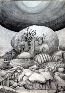 Kivi muna tekijältä Raimondo Gambino