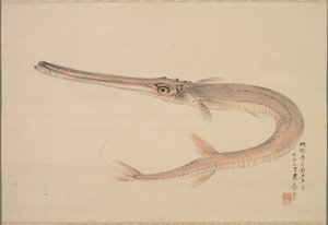 Needlefish asui, 1870. tekijältä Raisho Nakajima