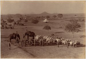 Raskas kenttäpatteri, Jhansi tekijältä Raja Deen Dayal