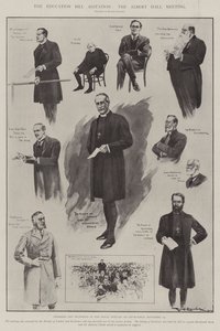 Koulutuslain agitaatio, Albert Hall -kokous