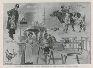 British Dairy Farmers