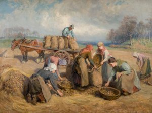 Perunankerääjät, Northumberland, 1903
