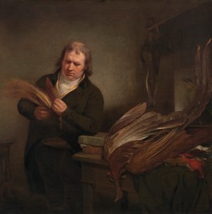 Ornitologi, mahdollisesti John Latham tekijältä Ramsay Richard Reinagle