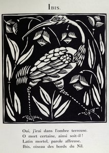 Ibis, kuvitus Guillaume Apollinairen (1880-1918) teoksesta "Bestiarion" tai "Orfeuksen kulkue" 1911 (puupiirros). tekijältä Raoul Dufy