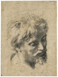 ""Nuoren apostolin muotokuva"" (nuoren apostolin pää) hiili paperille kirjoittanut Raphael (Raffaello Sanzio) (1483-1520) Yksityinen kokoelma