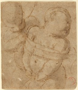 Cupid Bound tekijältä Raphael
