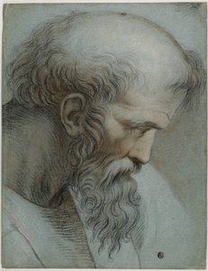 Pythagoraan päällikkö tekijältä Raphael