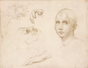 Tutkimuksia San Severon kolminaisuudesta, 1500-luvun alku tekijältä Raphael