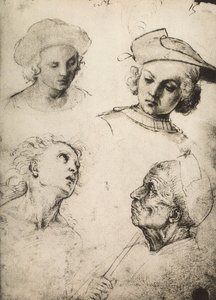 Neljän miehen kasvojen tutkimus; piirustus Raphael. Gallerie dellAccademia, Venetsia tekijältä Raffaello Sanzio Raphael