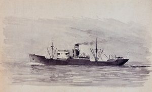  tekijältä Raymond Bonnefon