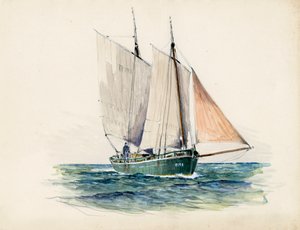  tekijältä Raymond Bonnefon