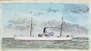  tekijältä Raymond Bonnefon